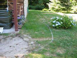 yard work 2010